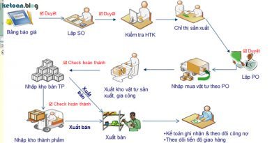 cns.net-phan-mem-ke-toan-san-xuat-1